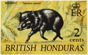 British Honduras 3 Stamp